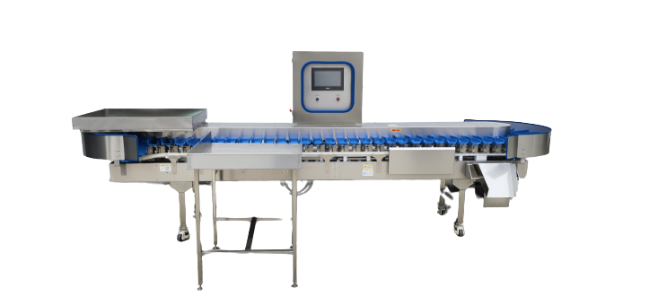 Weighing Sorting Machine for chicken feet, meat, shrimp